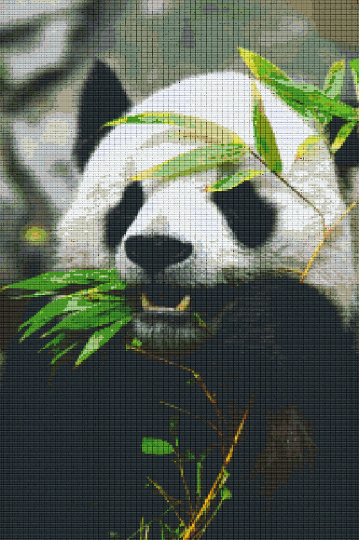 Panda Thirty [30] Baseplate PixelHobby Mini-mosaic Art Kit image 0